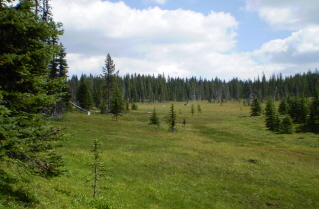 Crossing the edge of a large meadow on the trail to Sheep Rock 2009-08.